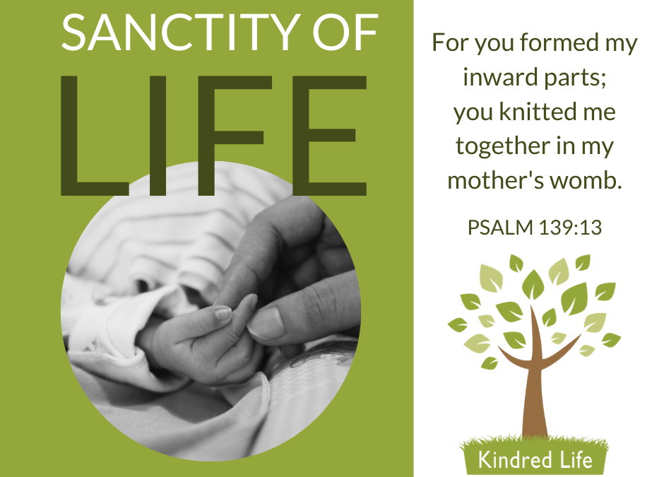 Sanctity of Human Life 2020