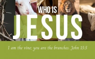 He is the Vine