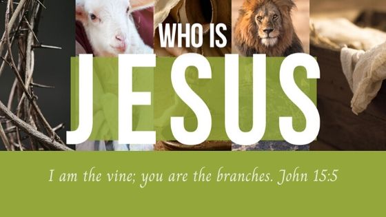 He is the Vine